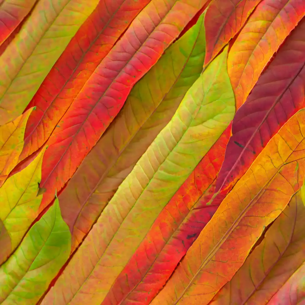 Book Cover: 20 Generative AI Prompts to Create Stunning Repeating Patterns Book Cover::20 Generative AI Prompts to Create Stunning Repeating Patterns