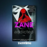 Addicted Romantic Novel by Zane
