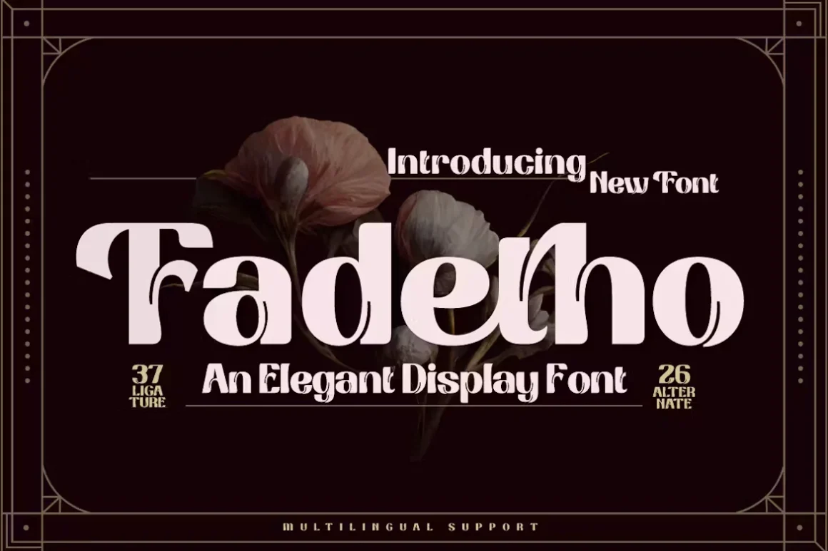 Book Cover: 10+ Must-Have Display Fonts for a Stunning Website Must-Have Display Fonts for a Stunning Website