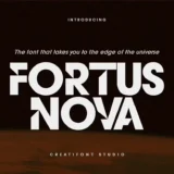 Must-Have Display Fonts for a Stunning Website